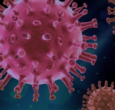 Zinco e risposta immunitaria