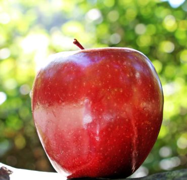 Mele: proprietà, valori nutrizionali e calorie