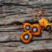 Olio di palma, quali rischi per la salute