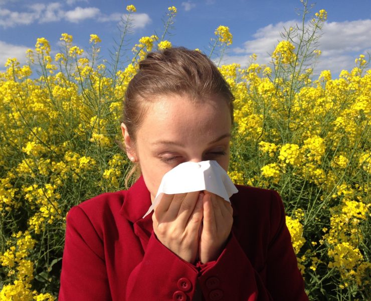 Rinite allergica: cause e terapia