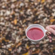 Tarassaco: Proprietà Depurativa e Detossificante