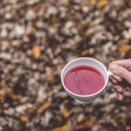 Tarassaco: Proprietà Depurativa e Detossificante