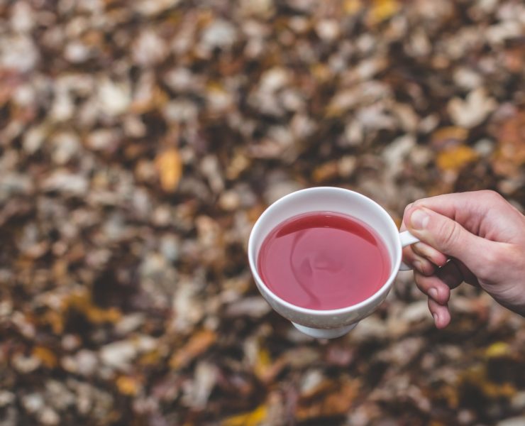 Tarassaco: Proprietà Depurativa e Detossificante