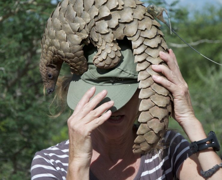 Coronavirus creato in laboratorio? Forse no