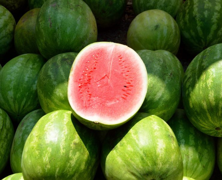 Anguria, dolce rimedio contro il caldo