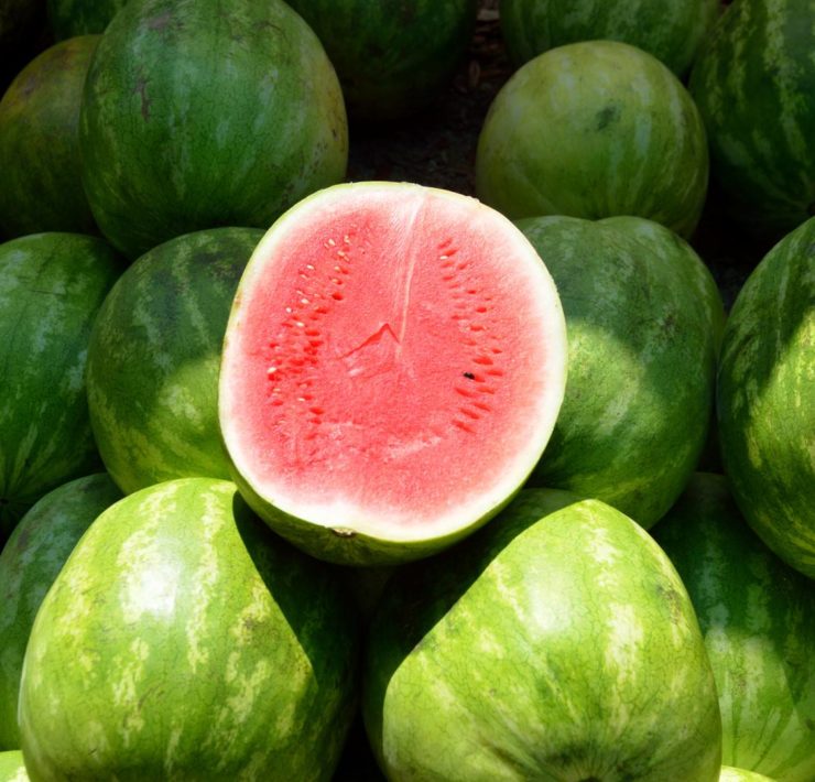 Anguria, dolce rimedio contro il caldo