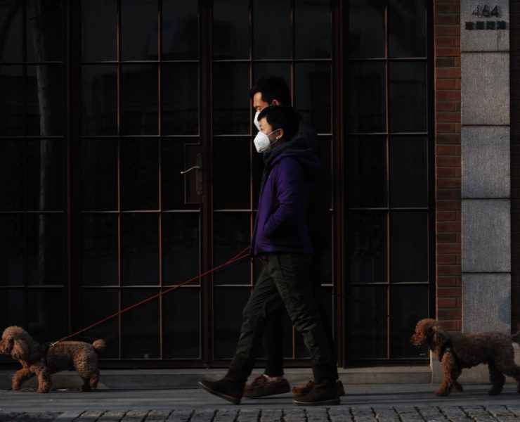 Può una molecola naturale inibire il Covid? Studio Cnr-Nanotec