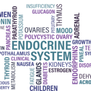 Sindrome dell'Ovaio Policistico