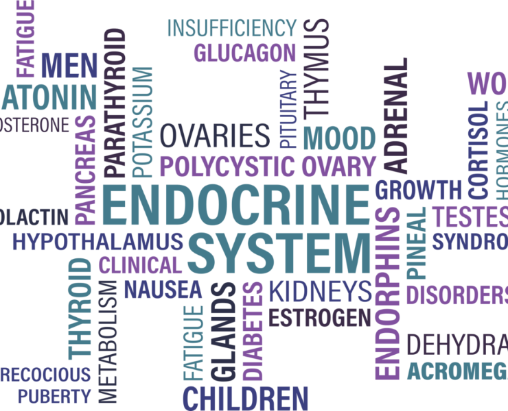 Sindrome dell'Ovaio Policistico