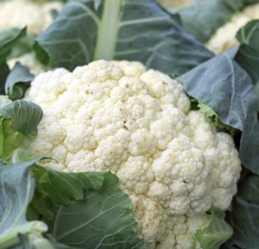 Cavolfiore, proprietà e valori nutrizionali