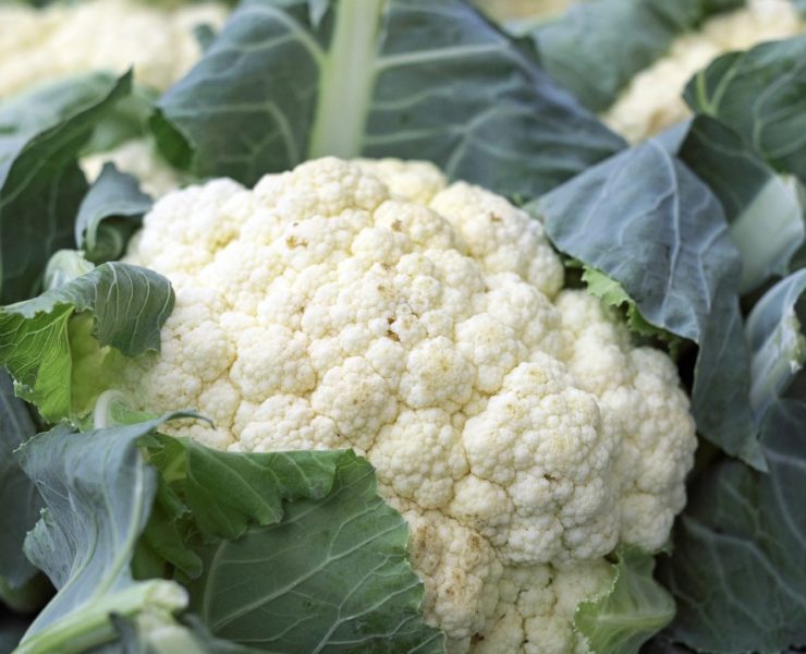 Cavolfiore, proprietà e valori nutrizionali