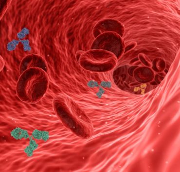 ferrina proprietà e benefici