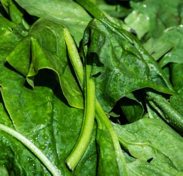 Vitamina K2 e osteoporosi