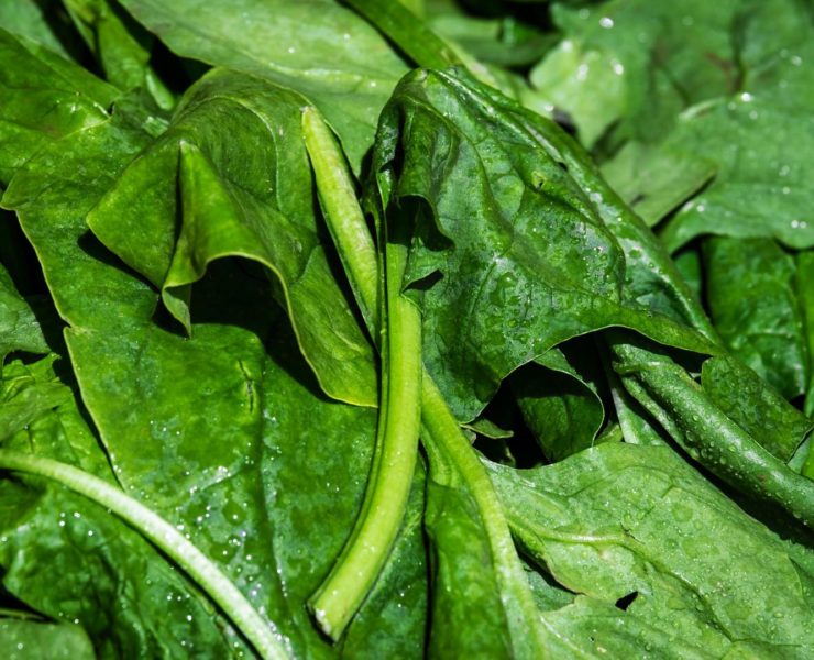 Vitamina K2 e osteoporosi