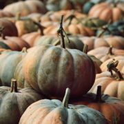 Zucca, proprietà, benefici e controindicazioni