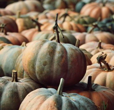 Zucca, proprietà, benefici e controindicazioni