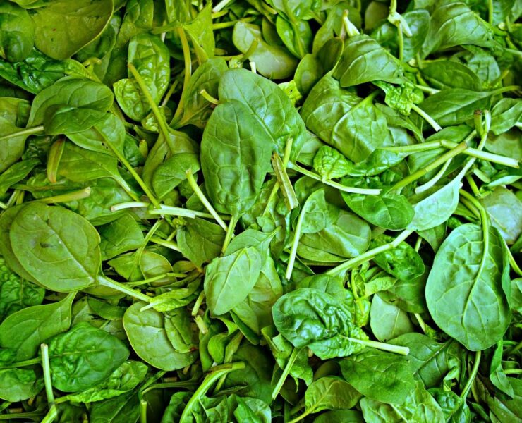 Spinaci, proprietà e controindicazioni